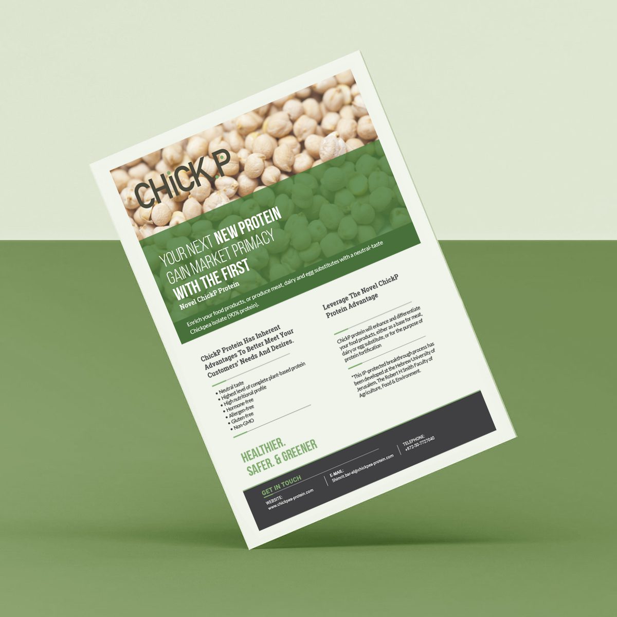 Picture of Flyers