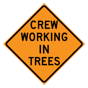 Crew Working in Trees